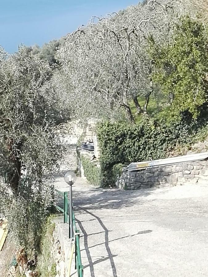 Appartamento Soldo Castelletto Di Brenzone Luaran gambar